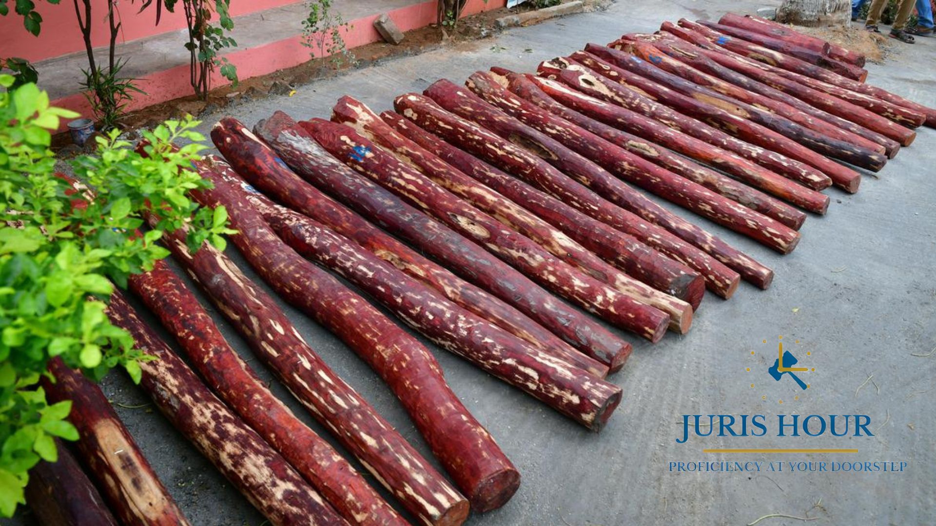 red sanders red sanders