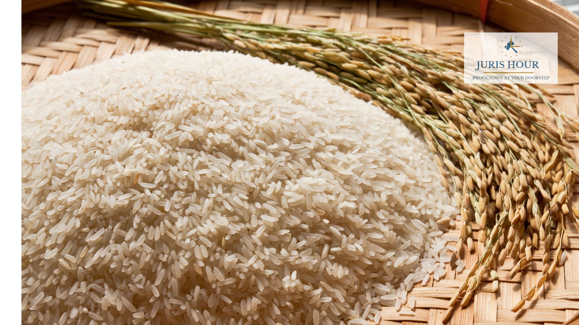 rice rice