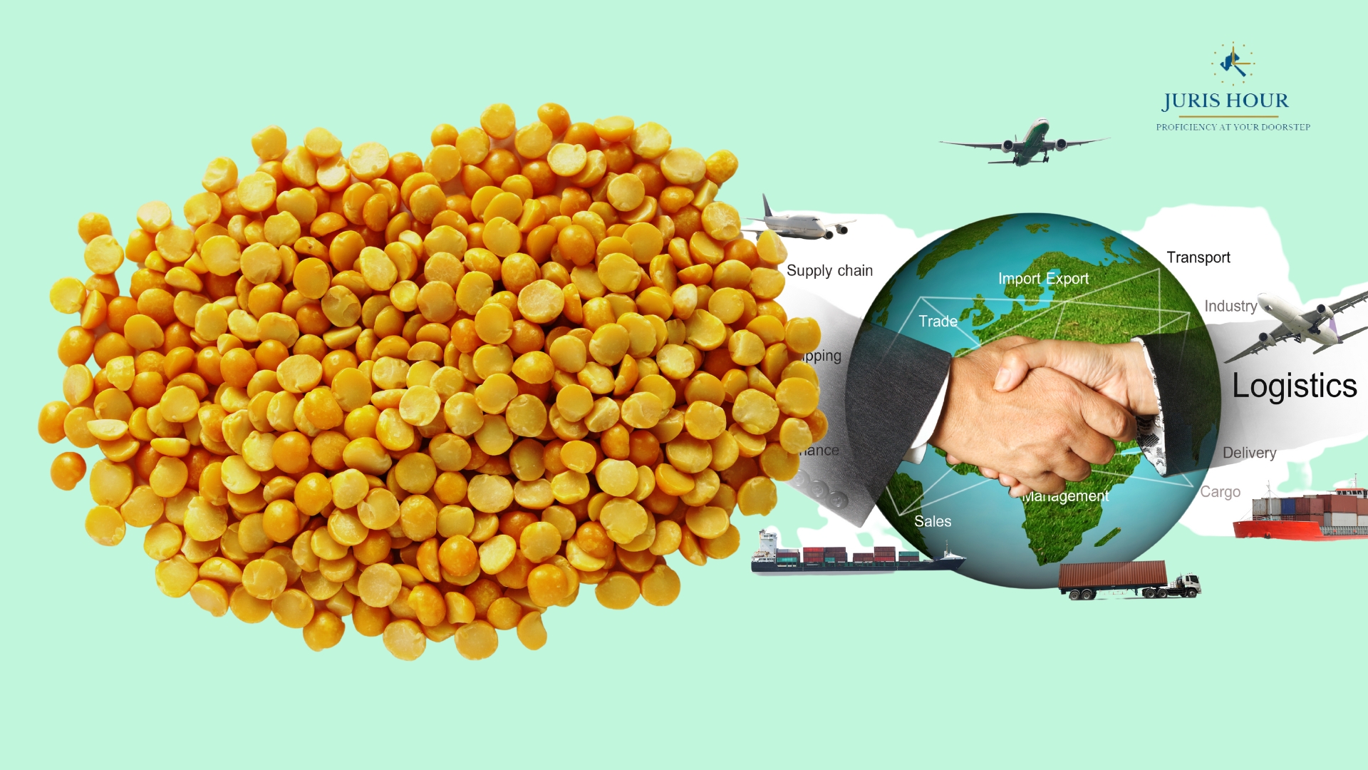 CBIC Extends Concessional Duty On Yellow Peas Till 28th February 2025 CBIC Extends Concessional Duty On Yellow Peas Till 28th February 2025