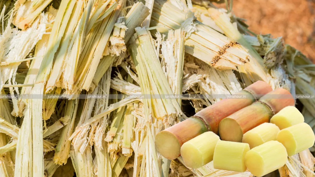 No Excise Duty On Bagasse Emerged As Waste During Sugarcane Crushing: CESTAT
