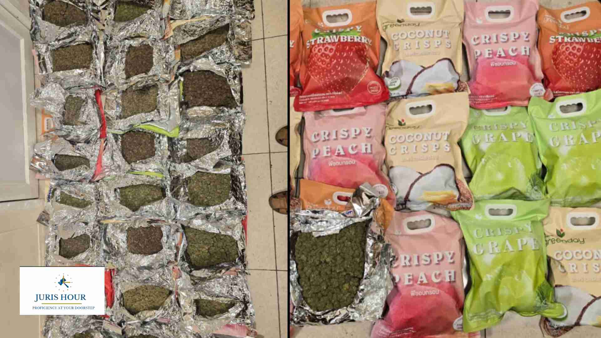 Chennai Customs Seizes Hydroponic Ganja Weighing Worth Rs.23.5 Cr