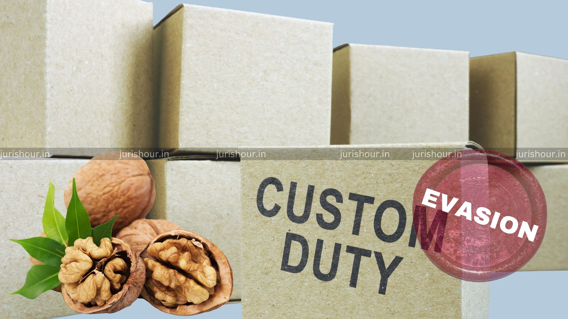 Customs Duty Evasion Worth Rs. 20 Crores By Undervaluing Walnut Imports | Surat Businessmen Under DRI’s Custody For 2 Days Customs Duty Evasion Worth Rs. 20 Crores By Undervaluing Walnut Imports | Surat Businessmen Under DRI’s Custody For 2 Days