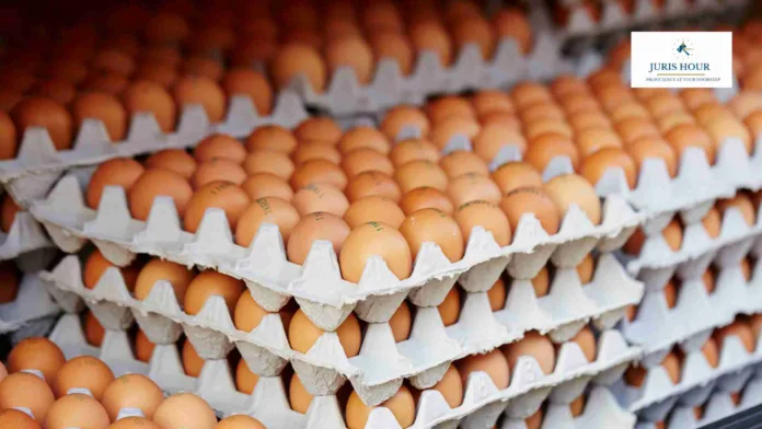 US Border Agents Seize More Illegal Eggs Than Fentanyl Amid Rising Poultry Smuggling