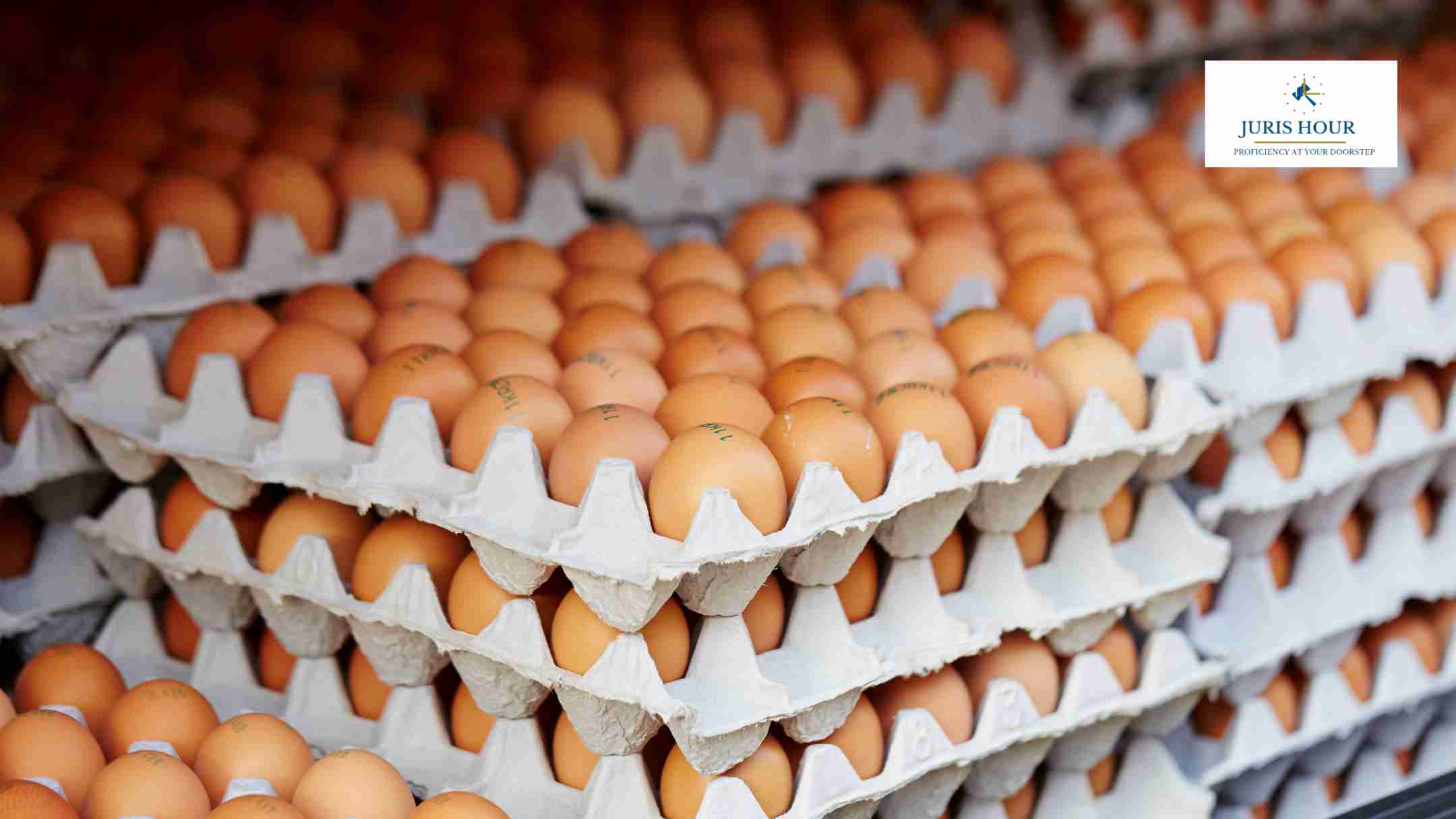 US Border Agents Seize More Illegal Eggs Than Fentanyl Amid Rising Poultry Smuggling US Border Agents Seize More Illegal Eggs Than Fentanyl Amid Rising Poultry Smuggling