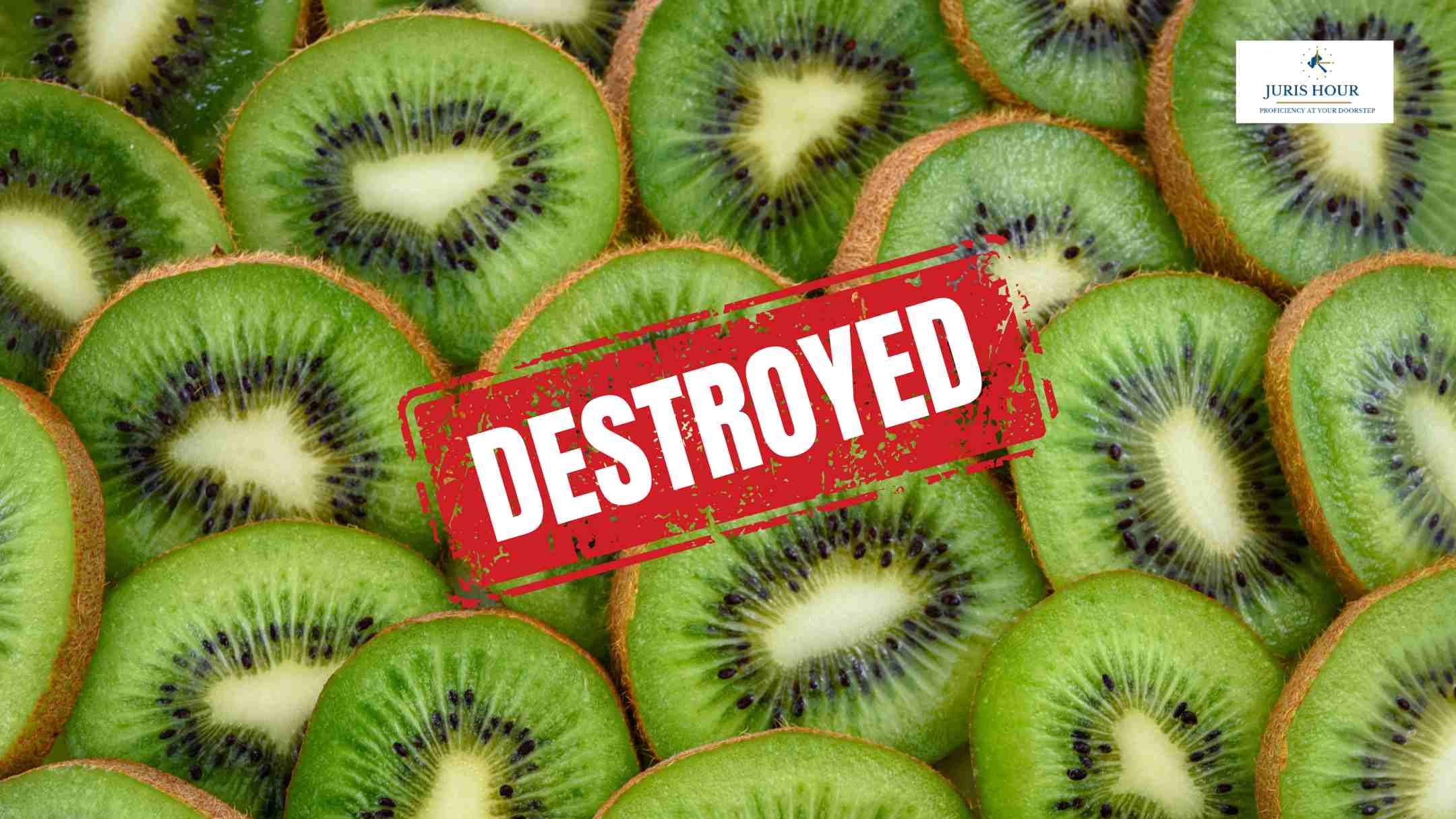 P&H High Court Imposes Rs. 50 Lakh Cost On Customs For Delayed Release Of 89,420 Kgs Of Kiwi P&H High Court Imposes Rs. 50 Lakh Cost On Customs For Delayed Release Of 89,420 Kgs Of Kiwi