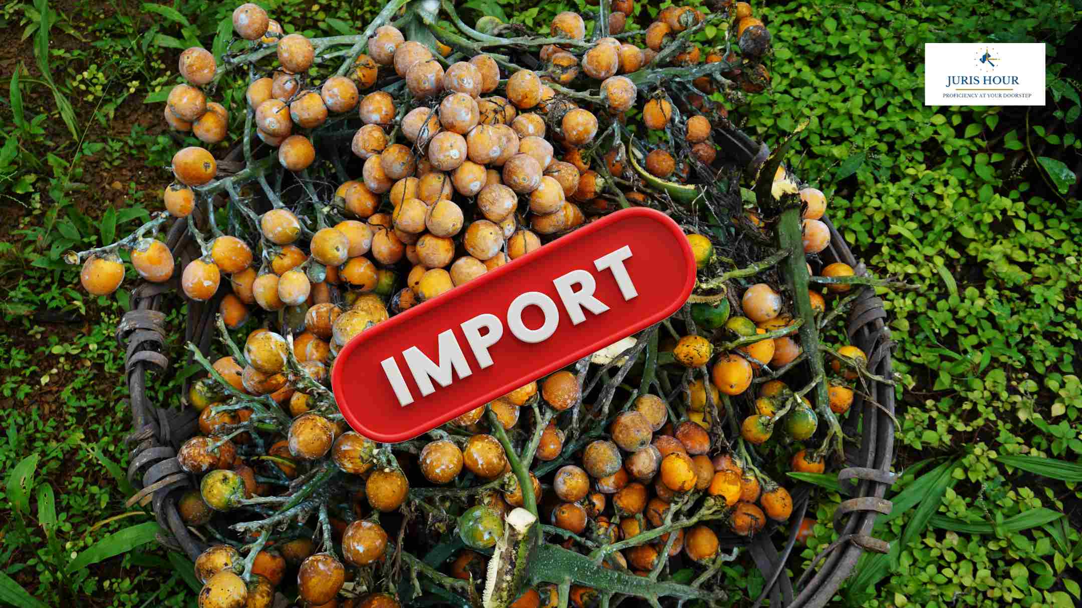 DGFT Amends Import Policy on Roasted Areca Nuts DGFT Amends Import Policy on Roasted Areca Nuts
