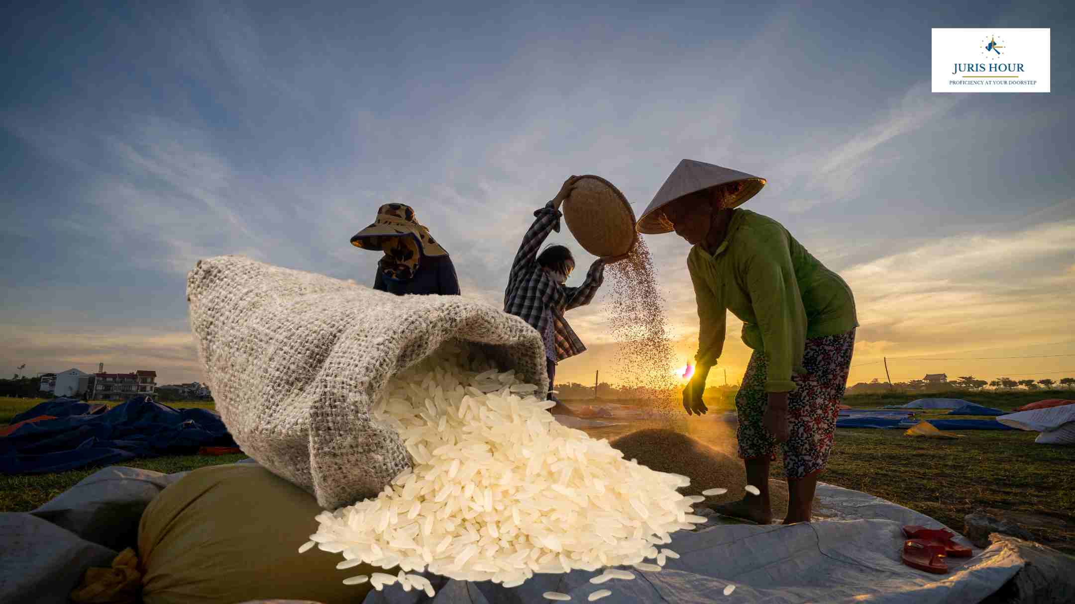 Govt. Eases Import Duties on Select Rice Varieties Effective May 1, 2025 Govt. Eases Import Duties on Select Rice Varieties Effective May 1, 2025