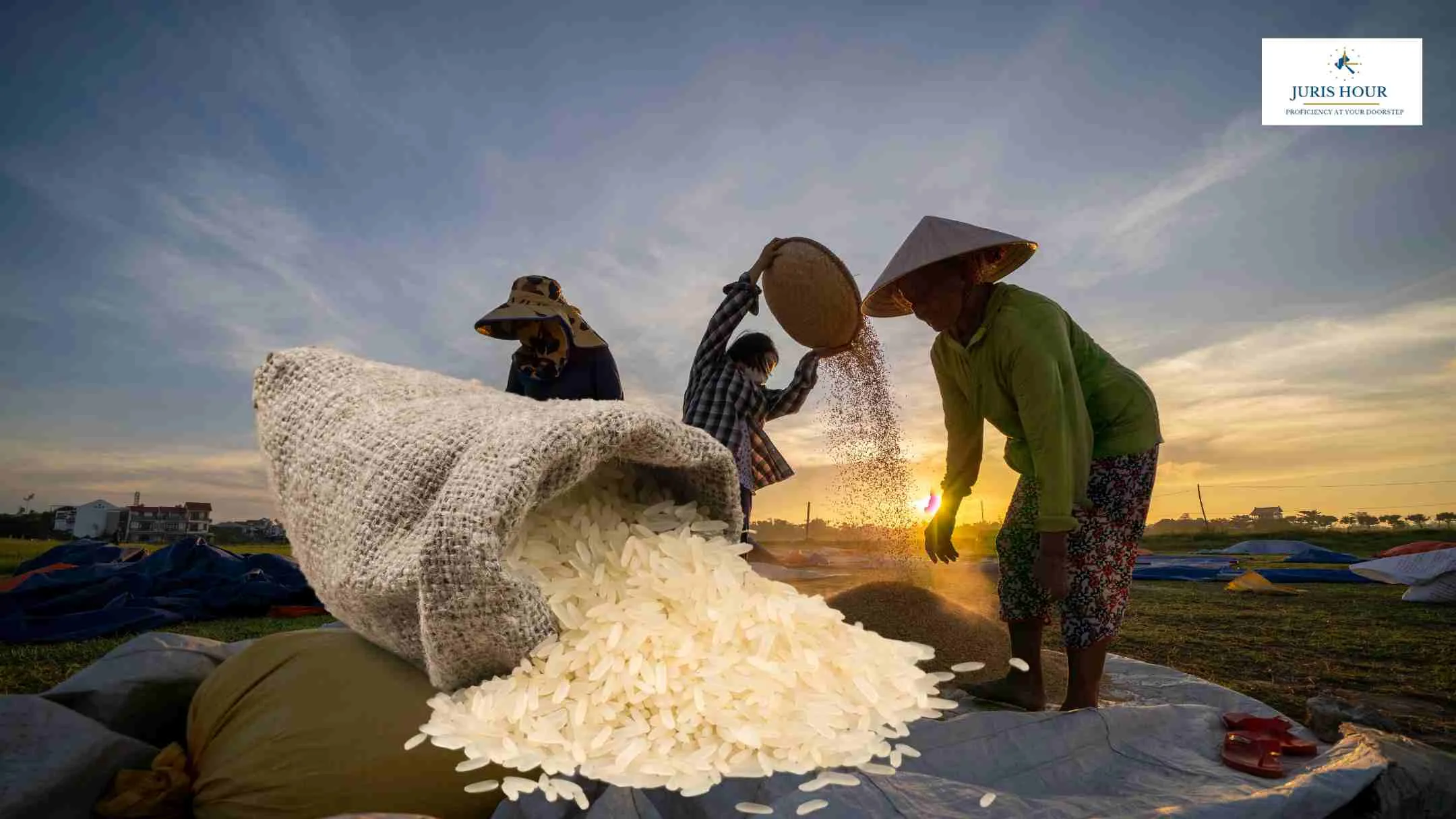 Govt. Eases Import Duties on Select Rice Varieties Effective May 1, 2025
