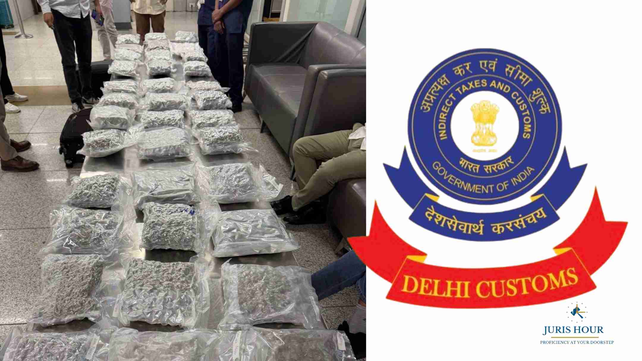 Delhi Customs Foils Smuggling Attempt, Seizes 18 Kg Hydroponic Ganja at IGI Airport Delhi Customs Foils Smuggling Attempt, Seizes 18 Kg Hydroponic Ganja at IGI Airport