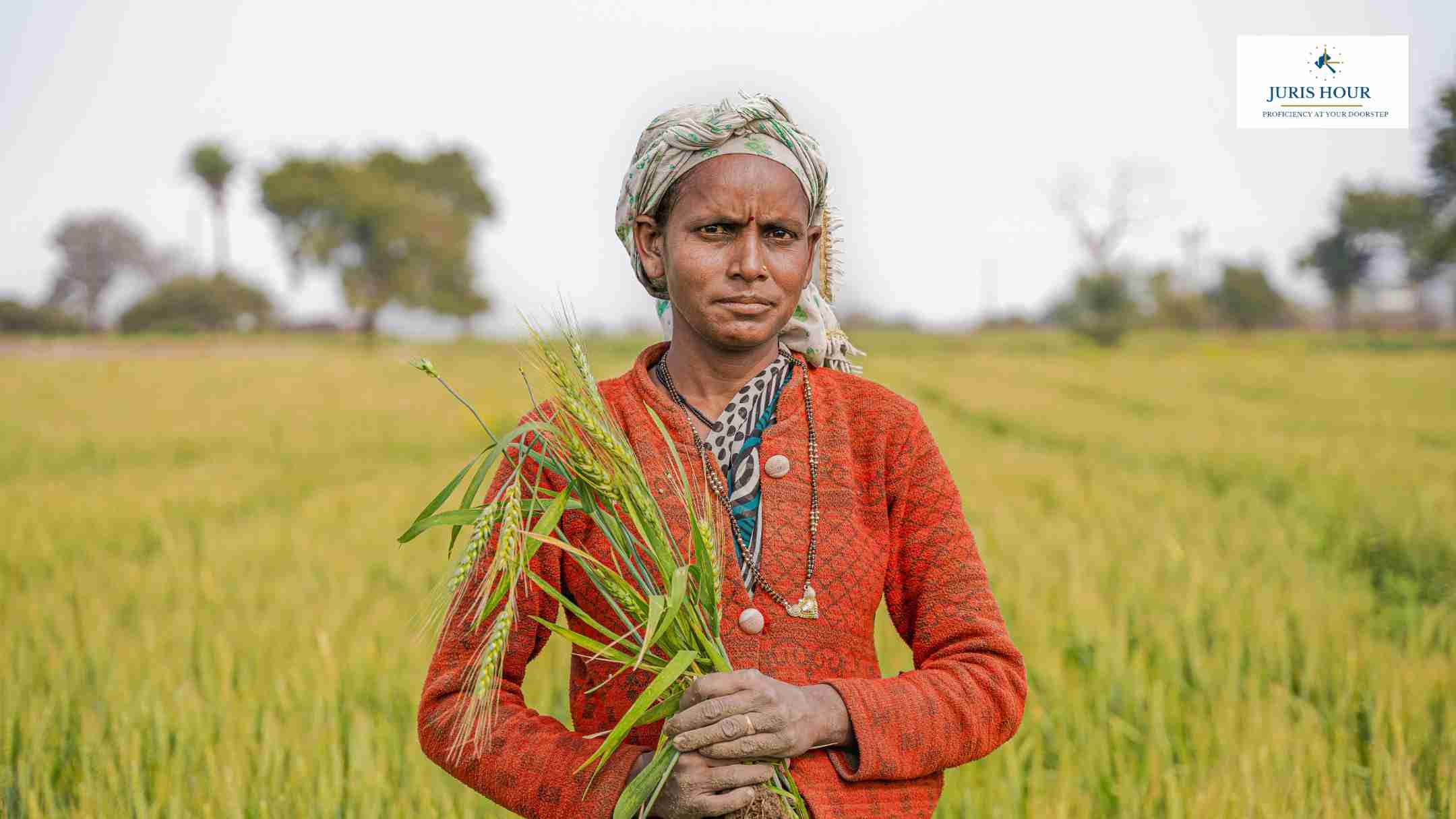 Trump Tariff and Israel-Iran War Double Blow to Indian Basmati Exports, Rs 3,000 Crore Orders Stuck Amid Crisis Trump Tariff and Israel-Iran War Double Blow to Indian Basmati Exports, Rs 3,000 Crore Orders Stuck Amid Crisis