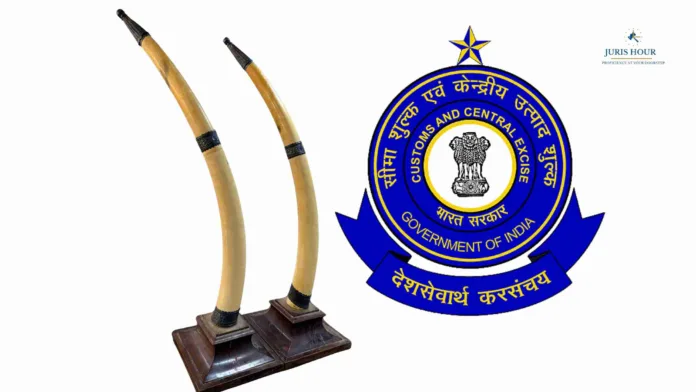 Illegal Wildlife Trade Busted in Chennai: SIIB (Sea) Seizes Elephant Tusks, Hands Over Accused to Forest Department