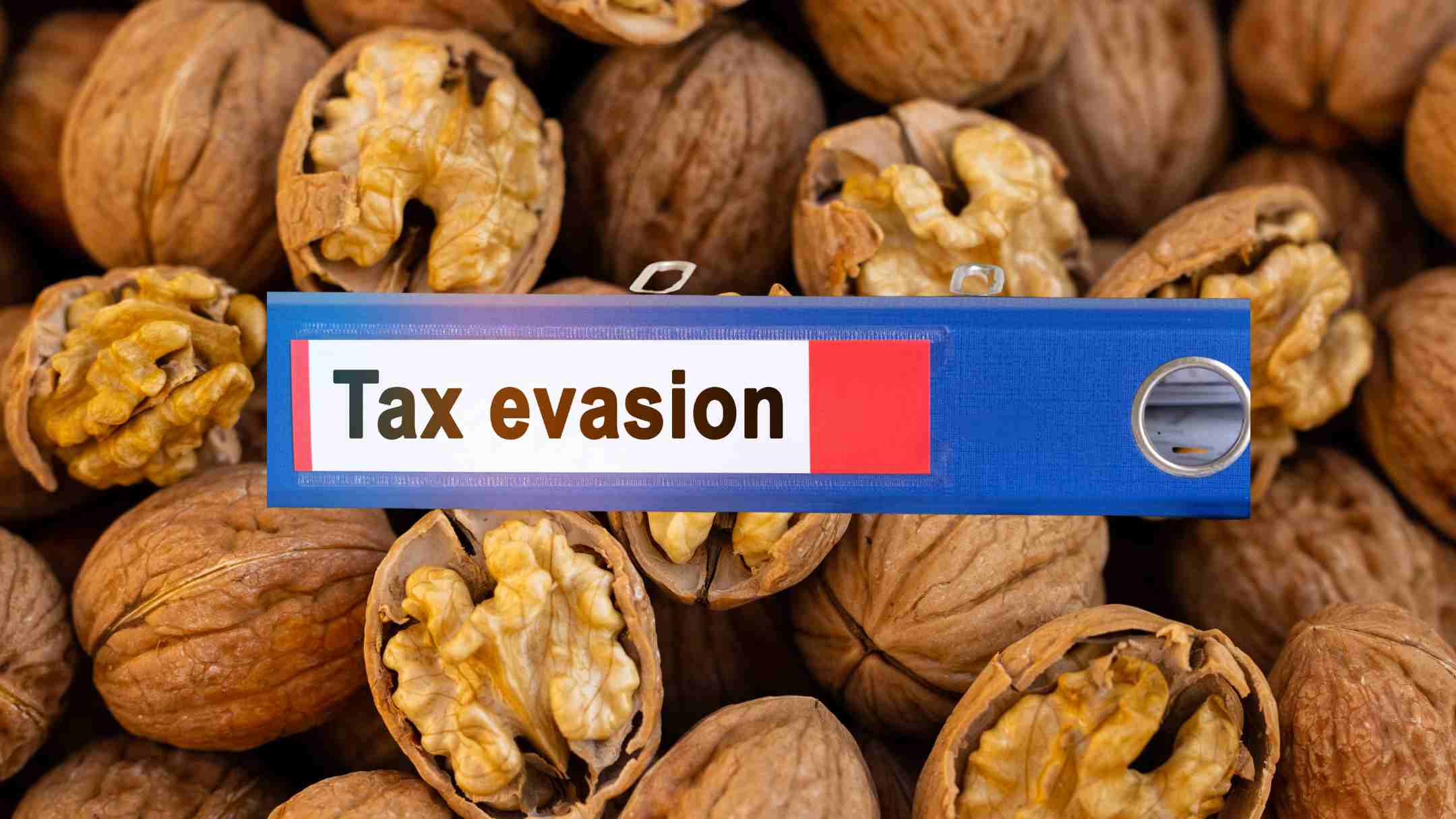 DRI Arrests Trader for Evading Rs 42 Crore Customs Duty on Walnut Imports DRI Arrests Trader for Evading Rs 42 Crore Customs Duty on Walnut Imports