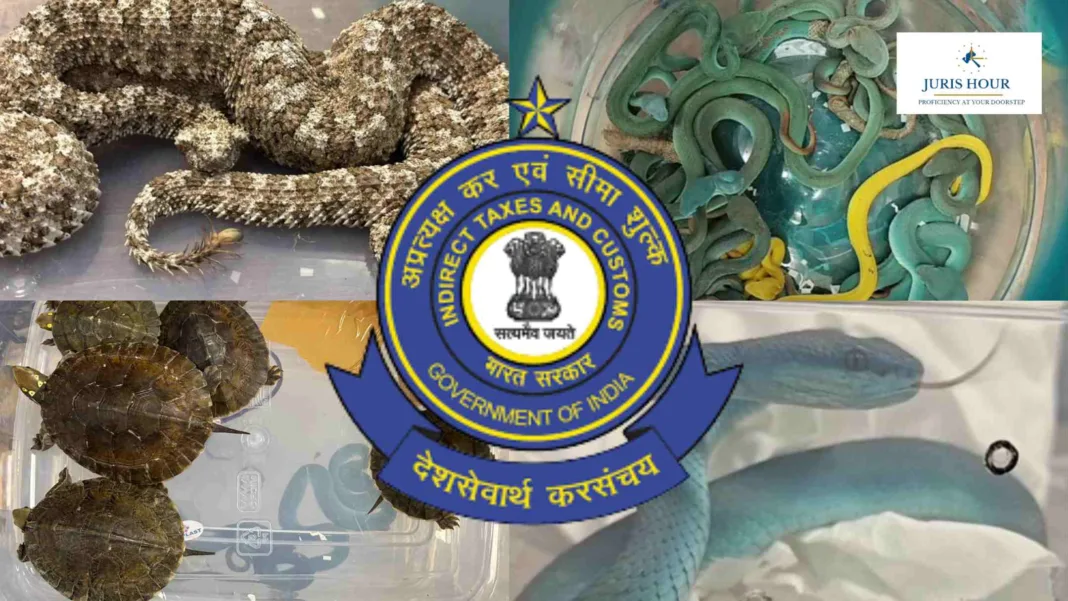 Rare Exotic Wildlife Seized at Mumbai Airport; Indian National Arrested