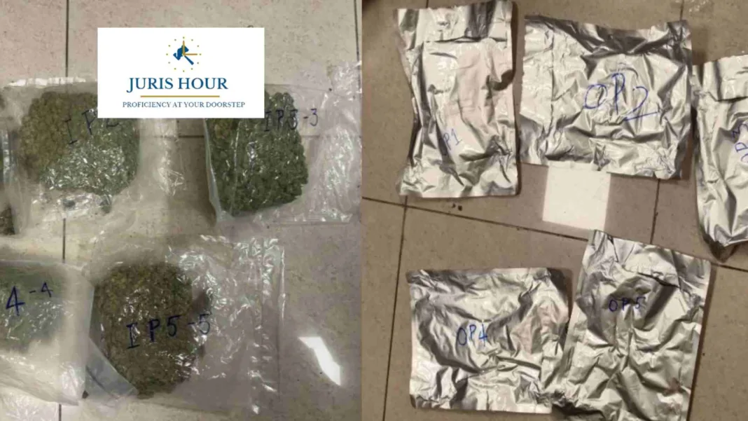 Chennai Customs Seizes Hydroponic Ganja Worth ₹1.2 Crore from Bangkok Passenger