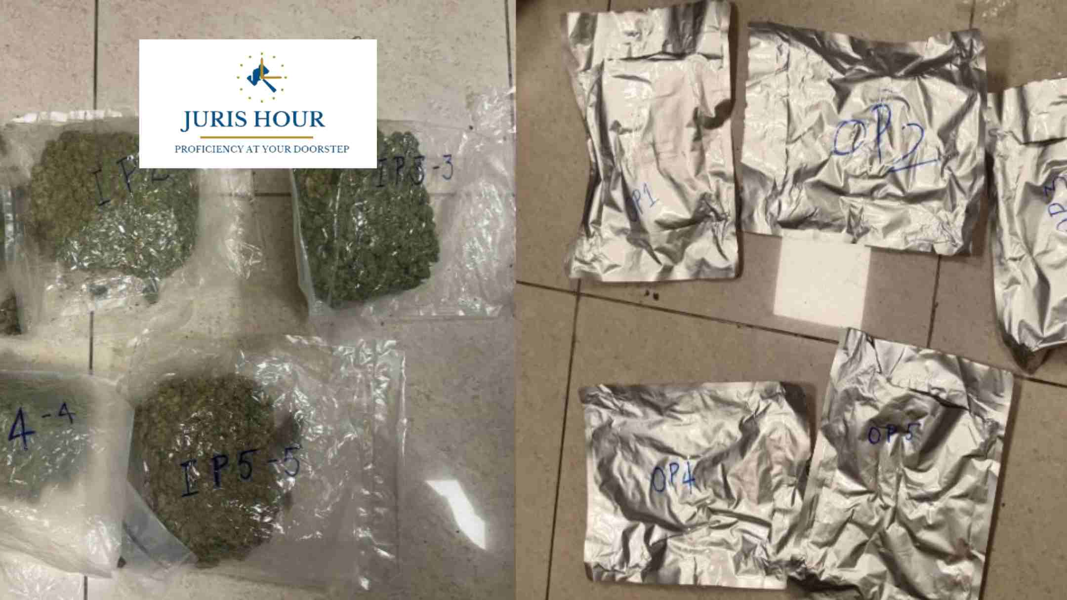 Chennai Customs Seizes Hydroponic Ganja Worth ₹1.2 Crore from Bangkok Passenger Chennai Customs Seizes Hydroponic Ganja Worth ₹1.2 Crore from Bangkok Passenger