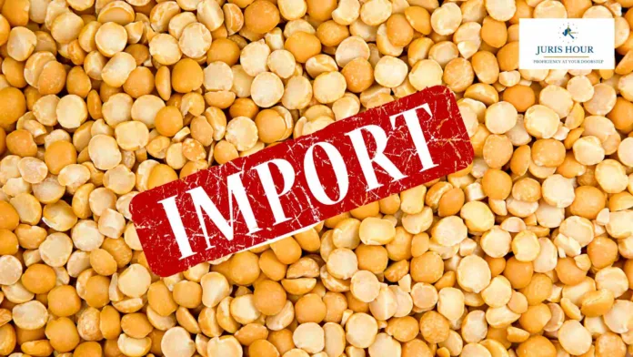 Free Import Policy For Yellow Peas Without MIP or Port Restrictions Extended Till March 31, 2026: DGFT