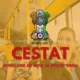 CESTAT Quashes Rs. 17.95 Lakh Service Tax Demand on Employee Transport via Contract Carriage