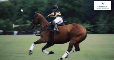 Govt Withdraws Polo Horse Import Duty Exemption One Day After Granting It