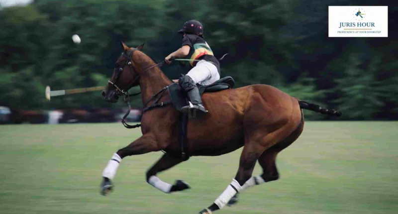 Govt Withdraws Polo Horse Import Duty Exemption One Day After Granting It