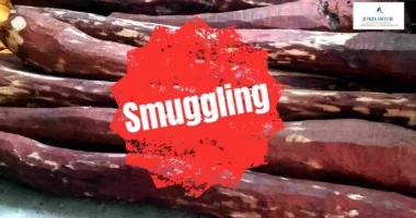 Rakt Chandan Racket Busted: Syndicate Used Coconut Fibre Cover to Exploit Customs Loophole via Pune