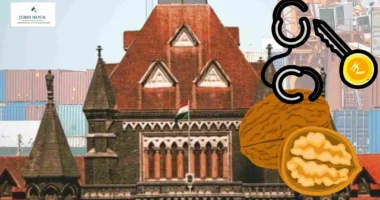 Videography Of DRI Statement Recording Allowed, Advocate Can Stay at Visible Distance; Bombay High Court Grants Anticipatory Bail to Walnuts Importer