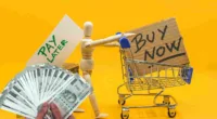 ‘Buy Now, Pay Later Culture’: How Westernised Thinking is Trapping Indian Youth?