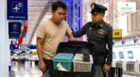 Rare Exotic Birds Rescued