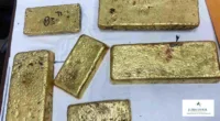 Gold Smuggling | Ahmedabad Customs Seizes Gold Worth Rs. 25.57 Crore At Surat Airport