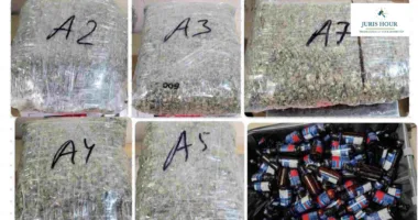 Mumbai Customs Seizes Hydroponic Weed and Codeine Syrup in Major Airport Crackdown