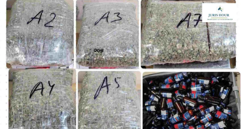Mumbai Customs Seizes Hydroponic Weed and Codeine Syrup in Major Airport Crackdown