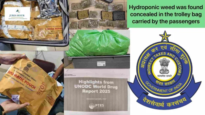 Mumbai Customs Seizes Rs. 14.73 Crore Worth of Hydroponic Weed at Airport Concealed in Envelopes