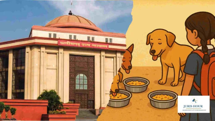 Govt to Pay Rs. 25k Each to Students Who Ate Mid-Day Meals Licked by Stray Dogs: Chhattisgarh High Court