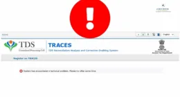 Technical Glitches Hit Income Tax Filing Portal Amid Filing Rush
