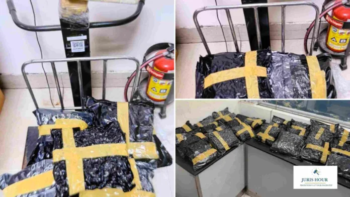 Marijuana Worth ₹25 Crore Seized at Delhi Airport; Passenger Arrested
