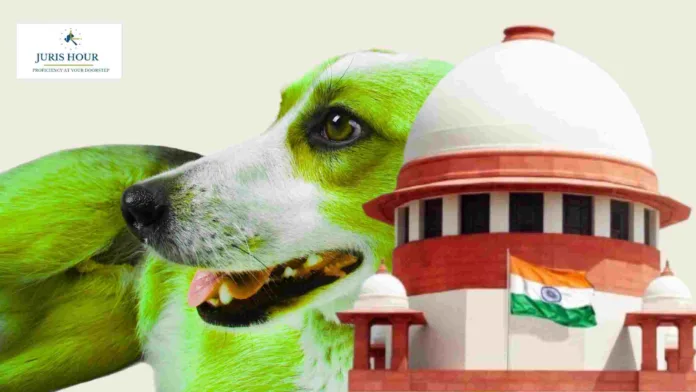Supreme Court Modifies Stray Dog Order, Allows Release After Vaccination and Deworming