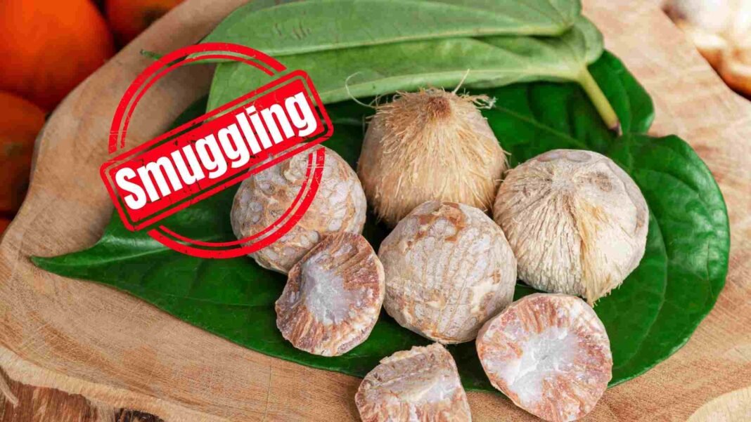areca nut Smuggling Panvel Court Grants Anticipatory Bail to Businessman in Areca Nut Smuggling Case