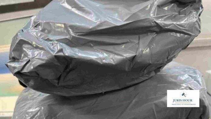 Customs at IGI Airport Seize 5.6 kg Ganja Worth ₹5.6 Crore; Two Passengers Arrested
