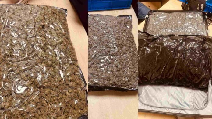 Delhi Customs Seizes Suspected Ganja Worth Rs. 7.21 Crore at IGI Airport