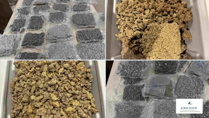 Bengaluru Customs Seizes 5 Kg of Hydroponic Ganja from Passenger Arriving from Bangkok