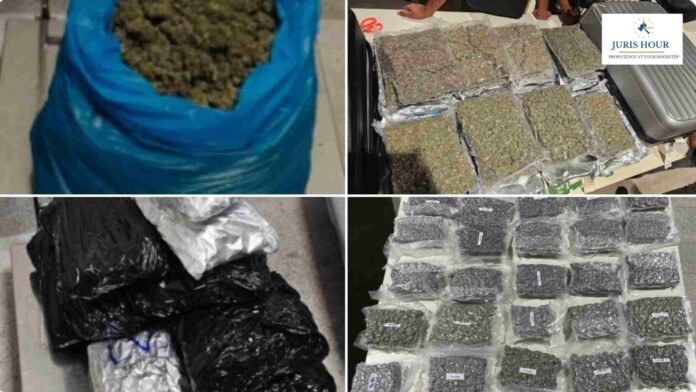 Bengaluru Airport Customs Seizes 370 kg of Hydroponic Weed, Arrests 57 Offenders Under NDPS Act