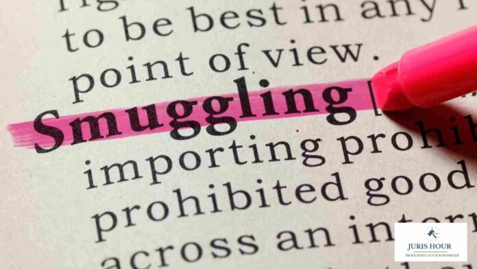 Bengaluru Airport Customs Foil Smuggling of Exotic Wildlife and Ganja from Bangkok