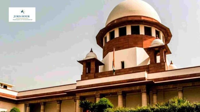 SC Seeks Detailed Affidavit From Trader After GST Dept. Fails to Release Seized Areca Nuts Despite Prior Orders