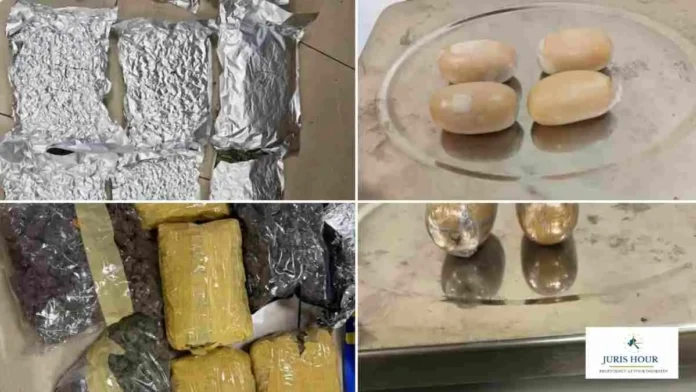 Mumbai Customs Zone Seizes Hydroponic Weed, Gold Worth Over Rs. 3.19 Crore at Airport