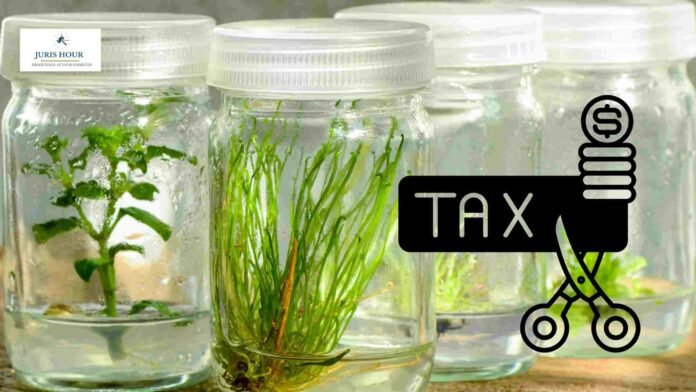 No Income Tax Payable On Income Earned From Sale Of Tissue Cultured Plants: Telangana HC