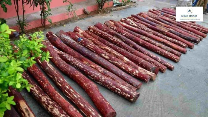 Red Sanders Smuggling: Rs. 1 Lakh Penalty on Imposed On Truck Driver: CESTAT Red Sanders Smuggling: Rs. 1 Lakh Penalty on Imposed On Truck Driver: CESTAT