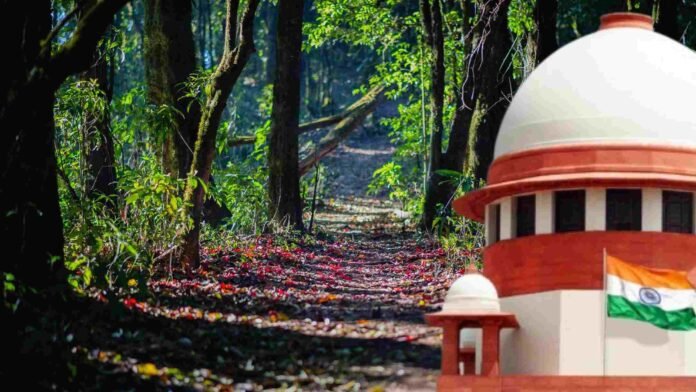 Forest Evictions Must Follow Due Process, Supreme Court Tells Assam Government