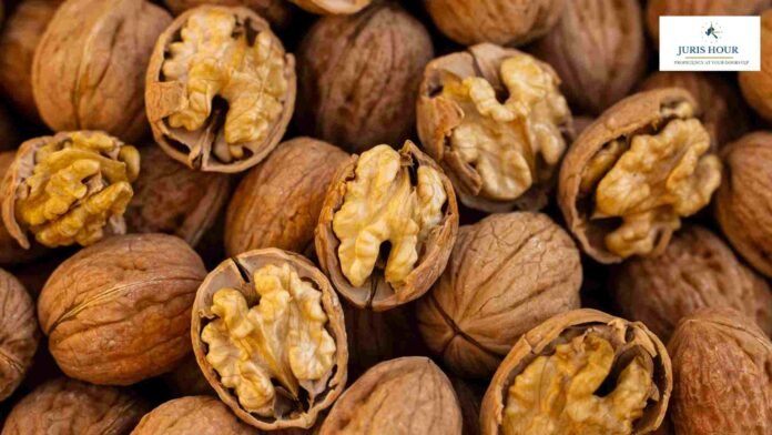 Misdeclared Afghan Origin Walnuts to Claim SAFTA Zero Duty: Customs Detains 310 Dry Fruit Containers at Nhava Sheva