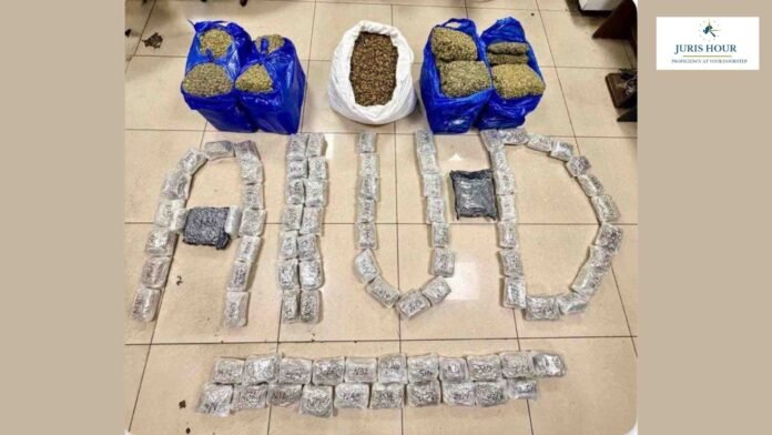 Mumbai Customs Busts Rs. 64.39 Crore Hydroponic Weed Racket at Airport; 4 Passengers Arrested Under NDPS Act