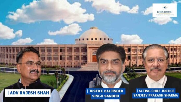 Rajasthan High Court Halts Construction in Mount Abu Region, Summons Local Authorities Over Alleged Encroachments