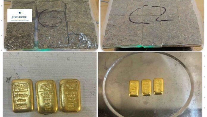 Mumbai Customs Seizes Hydroponic Weed, Gold at Airport